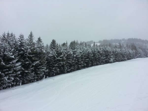 2014-02-08 12.20.25.jpg